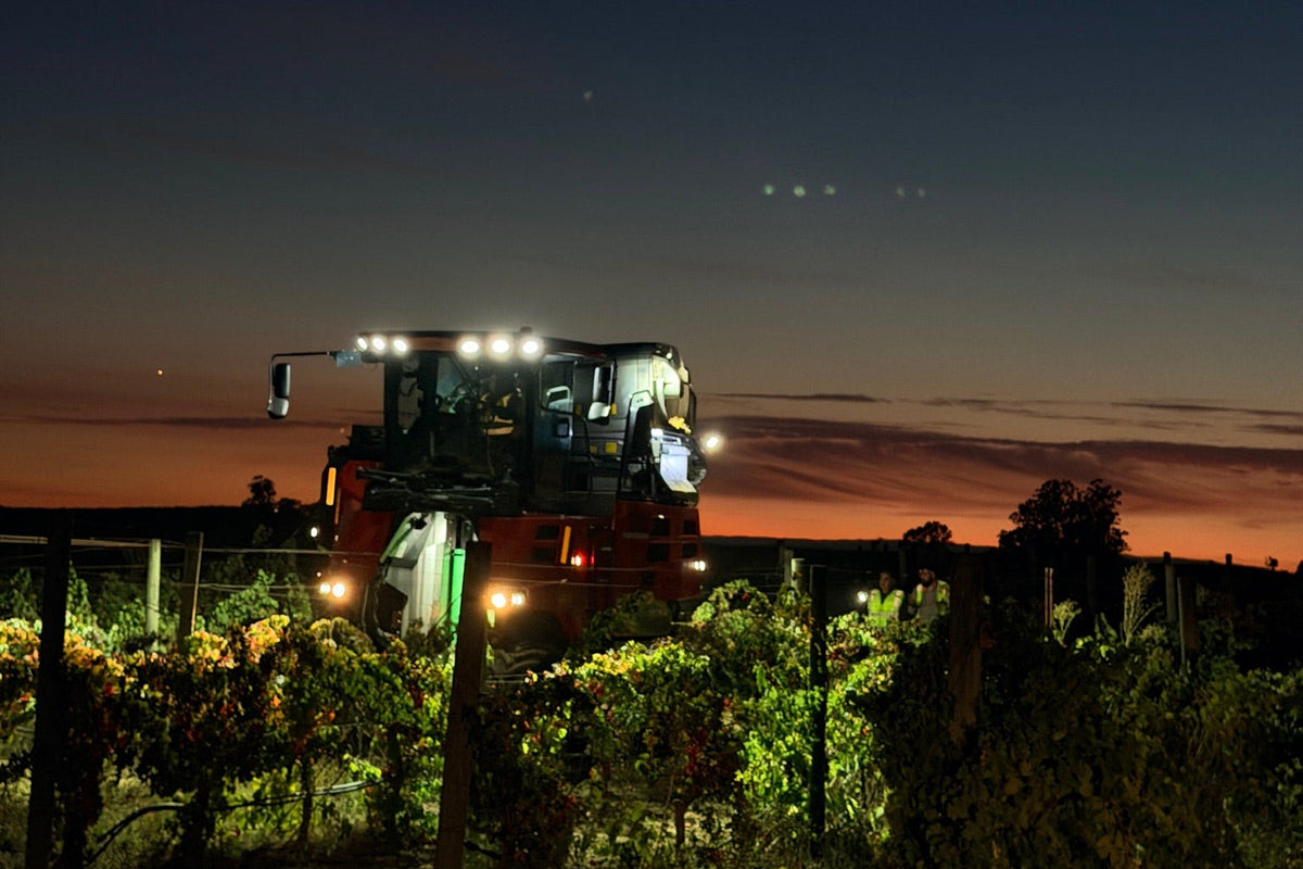 ERO Grapeliner 5175X Wine Grape Harvester