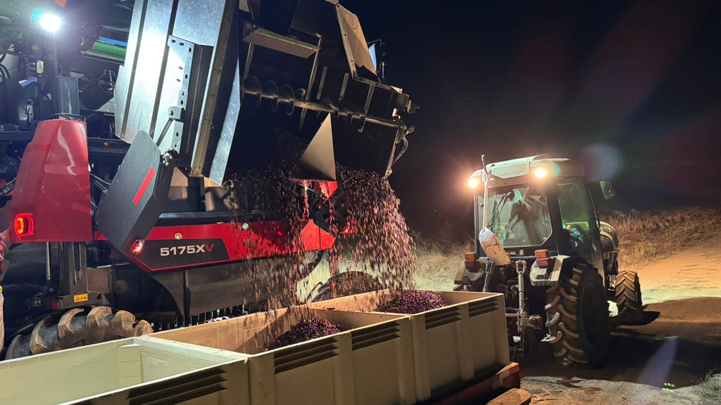 ERO Grapeliner 5175X Wine Grape Harvester