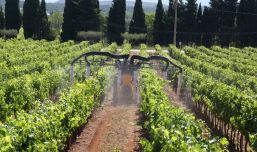 Gregoire 1000L Speedflow Progress 3-Row Sprayer